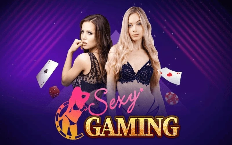 Explore AE Sexy Gaming at Royaljeet – Live Dealer Thrills