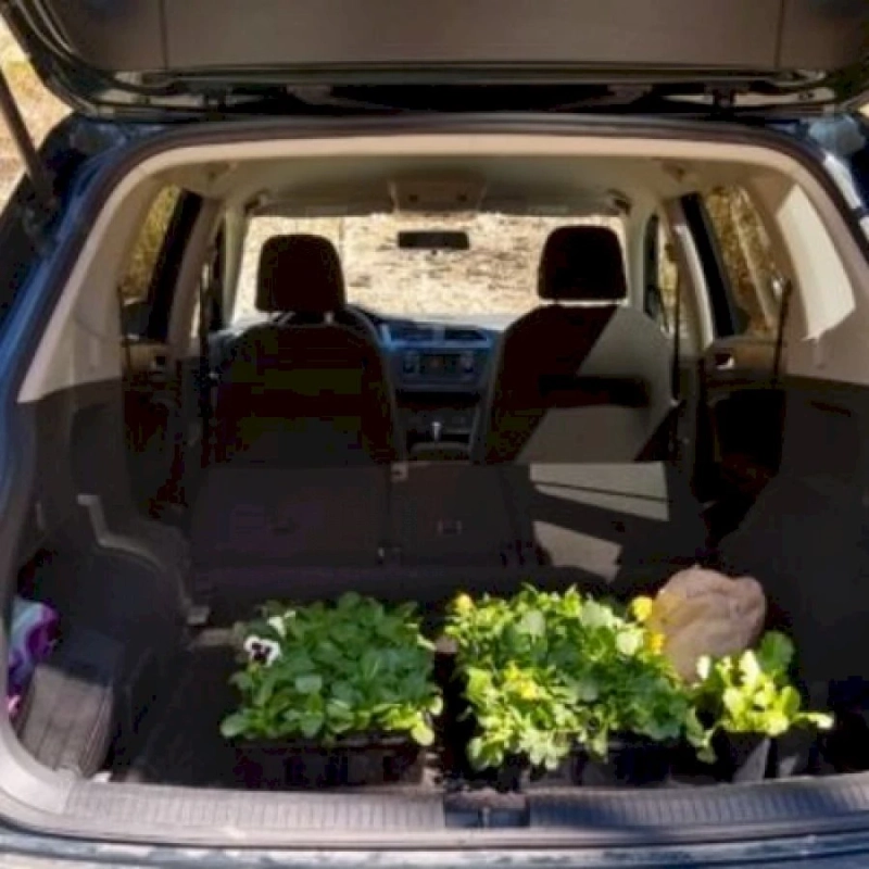 Curbside Nursery Pickup Experience