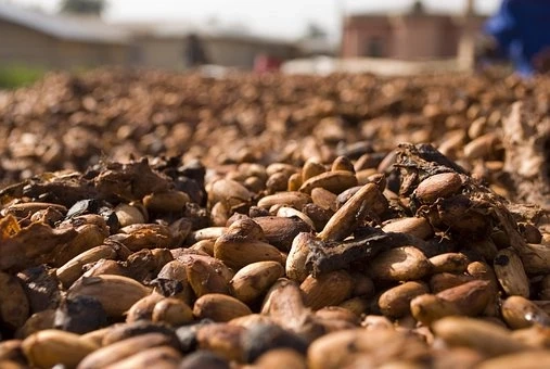 Cocoa Ingredients Market Size & Positive Long-Term Growth Outlook 2020-2027