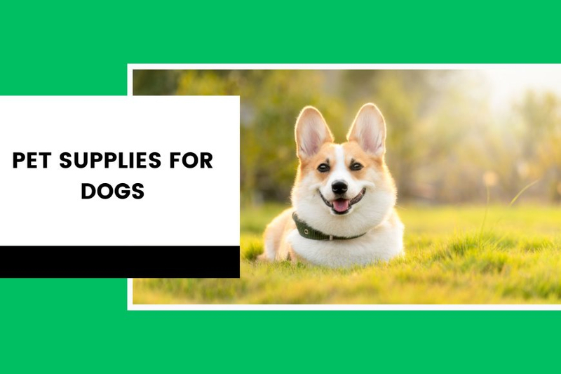 Pet Supplies for Dogs