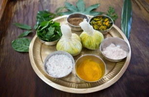 Online Panchakarma Course