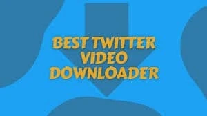 Best Twitter Video Downloaders that are Available Online