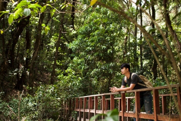 Embrace Nature on a Budget: Affordable Stays in Wayanad