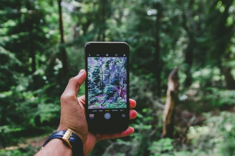 How Compostable Phone Cases Support Sustainable Living