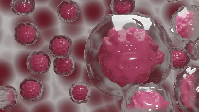 Stem Cell Manufacturing Market - Global Industry Growth and Forecast – 2027