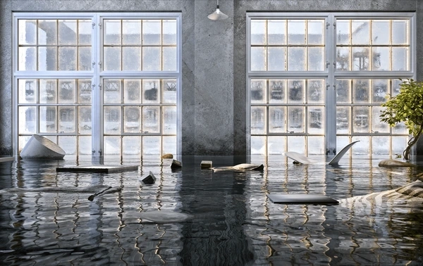 Water Damage Restoration Crandall, TX: Understanding the Difference Between Water Damage and Flood Damage