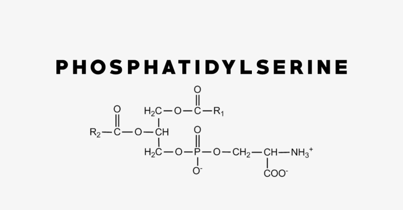 Global Phosphatidylserine Market Is Estimated To Witness High Growth Owing To Increasing Demand for Cognitive Health Supplements