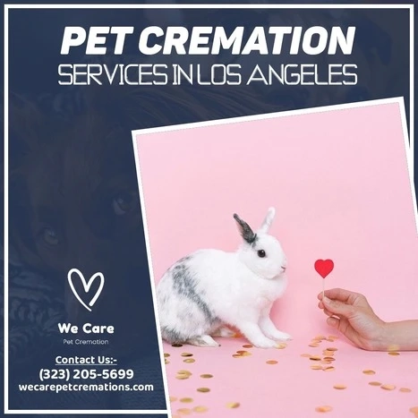 BENEFITS OF PET CREMATION COUNTIES IN CA