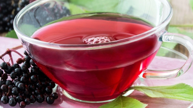 Various types of herbal tea and how it encourages you to live a healthier life
