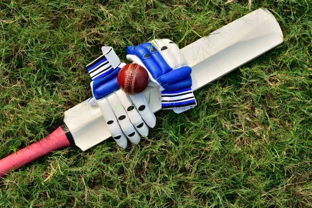 The Role of Kashmir Willow in Modern Cricket: Analyzing its Impact on the Game