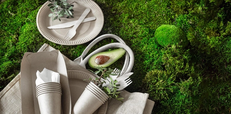 Embracing Sustainability: The Advantages of Sugarcane Bagasse Tableware