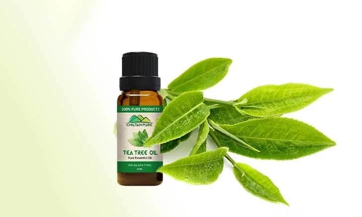 How Does Tea Tree Oil Work For Acne?