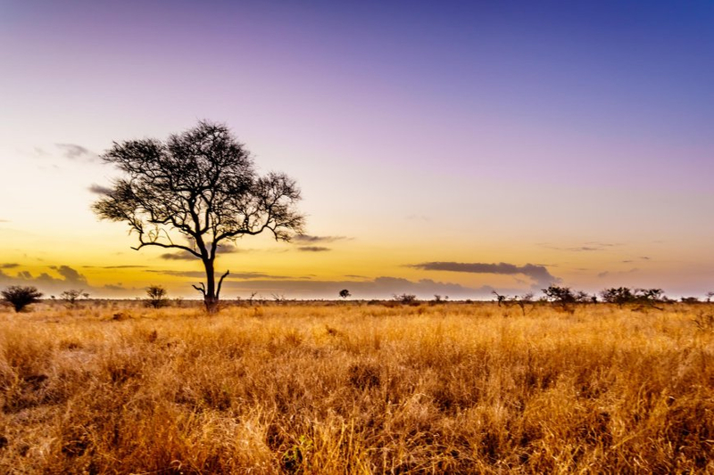 Experiencing Romance: An Unforgettable Africa Honeymoon Itinerary