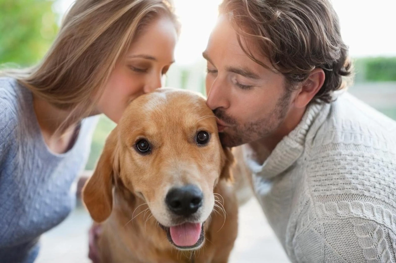 Why Dogs Make the Best Companions