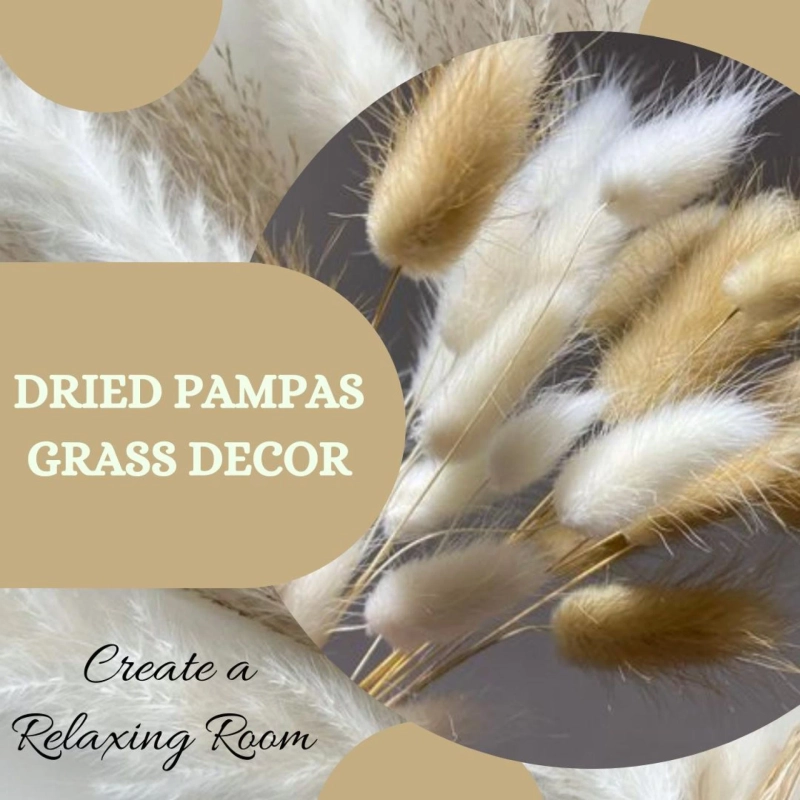 Natural Calm: Using Dried Pampas Grass Decor to Create a Relaxing Room