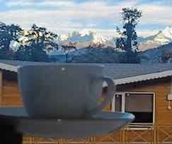 A Walk That Unfolds Gently