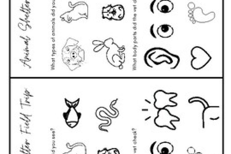 Animal Caregiving Worksheets  Ensuring the Well-being
