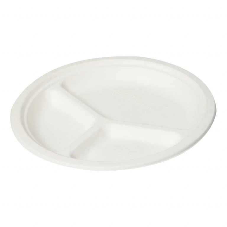 Choosing Eco-Friendly Biodegradable Plates: A Step Towards Sustainable Living