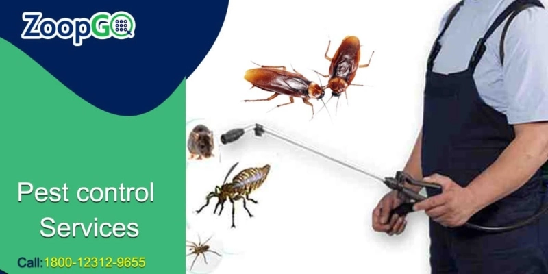Why are pest control services necessary?