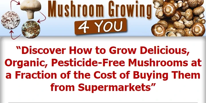 Mushroom Growing 4 You Review - Guide Of Growing Mushrooms!!