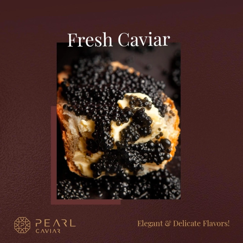 Curious facts about Sevruga Caviar