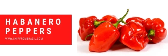 Natural Habanero Peppers from Brazil