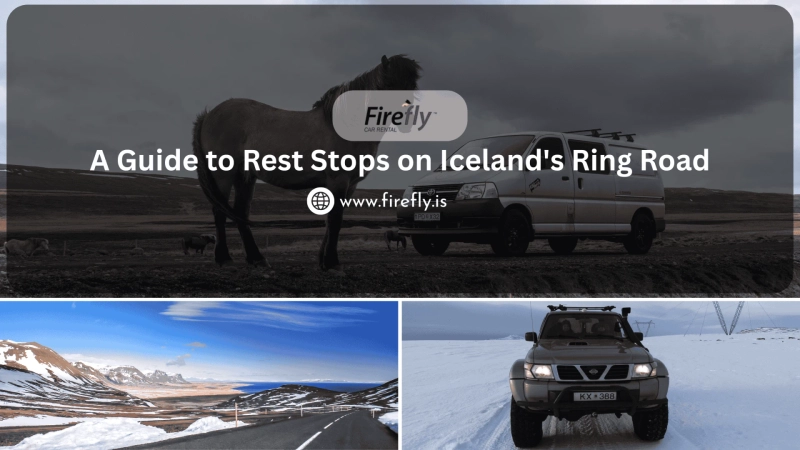 A Guide to Rest Stops on Iceland's Ring Road