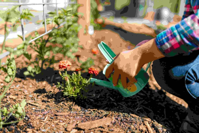 5 Signs Your Garden Needs Compost.