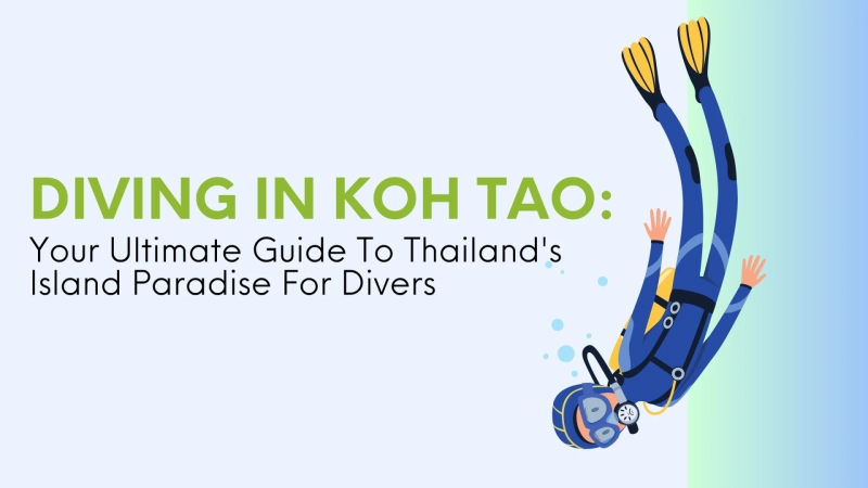 Diving in Koh Tao: Your Ultimate Guide To Thailand's Island Paradise For Divers