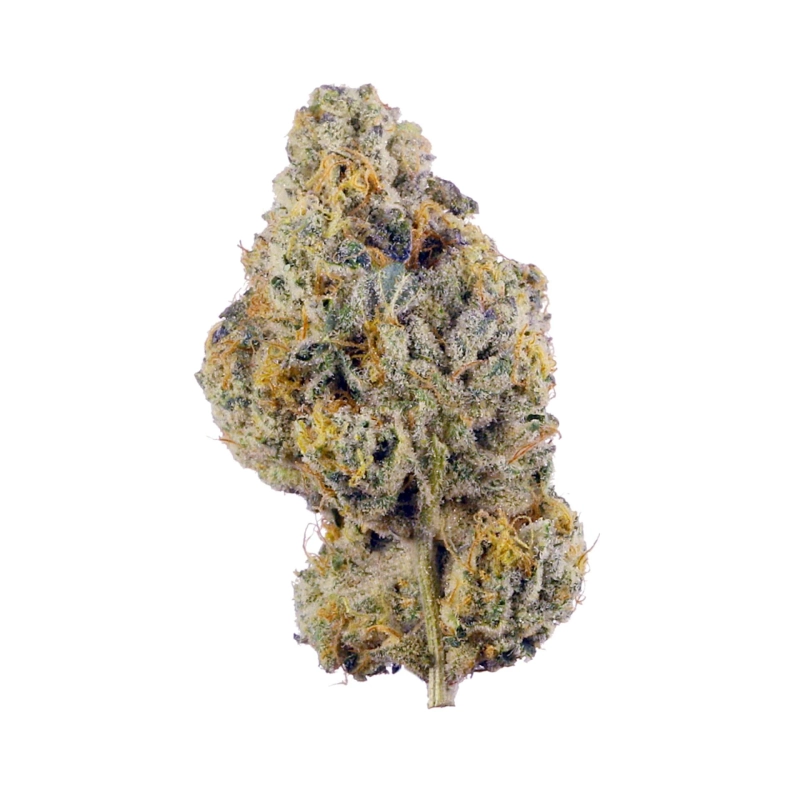 Best Time to Smoke Purple Queen AAA: Day vs. Night Use