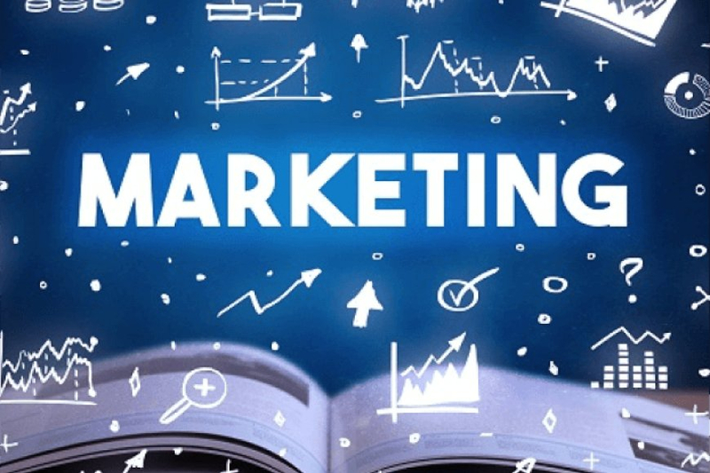 Standing Out in a Crowded Market: Unique Approaches to Book Marketing