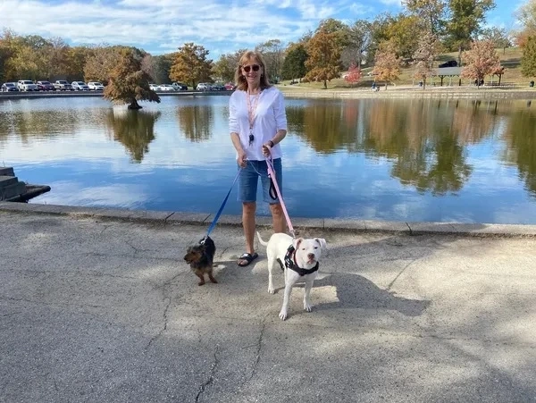 Planning a Trip? Find Reliable Pet Babysitters in St. Louis