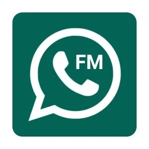 FM WhatsApp: Exploring Exclusive Features and Hidden Insights