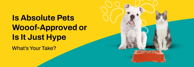 Absolute Pets Review: Is It Worth the Price?