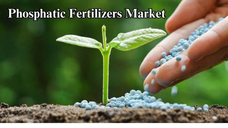 Phosphatic Fertilizers Market Size, Growth Insights and Forecast to 2032