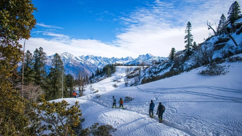 Romantic Shimla Manali Honeymoon Couple Tour