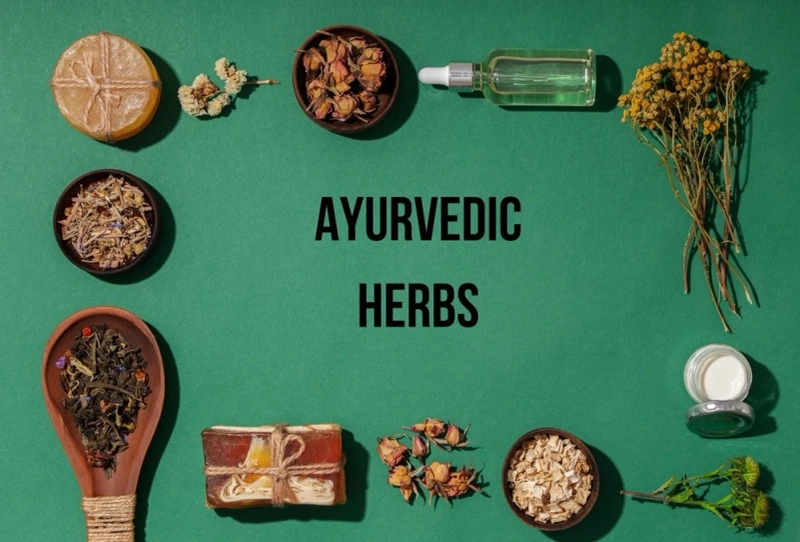 8 Powerful Ayurvedic Herbs With Their Great Benefits