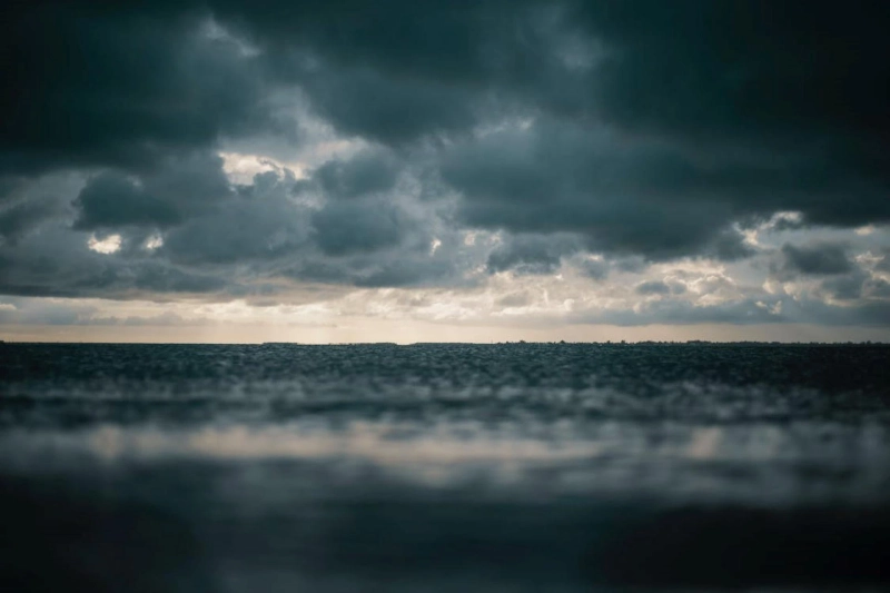 Storm Warning: How to Survive Nature's Wrath?