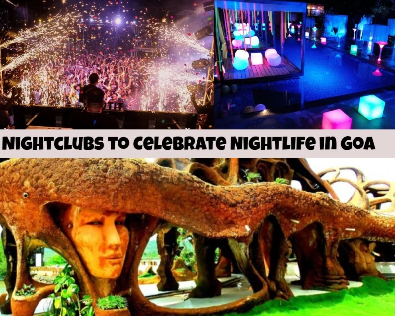 Turn On Your Party Mode By Throwing Yourself Into The Best Nightclubs In Goa