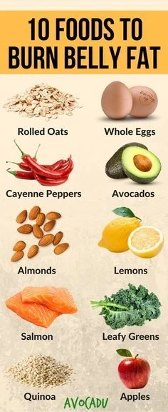 Leptin, the Excess fat-burning hormone for weight loss