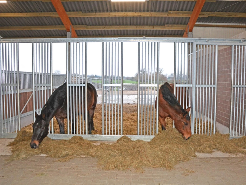 Schaffung einer sicheren und geräumigen Offenstall für Pferde-Einrichtung