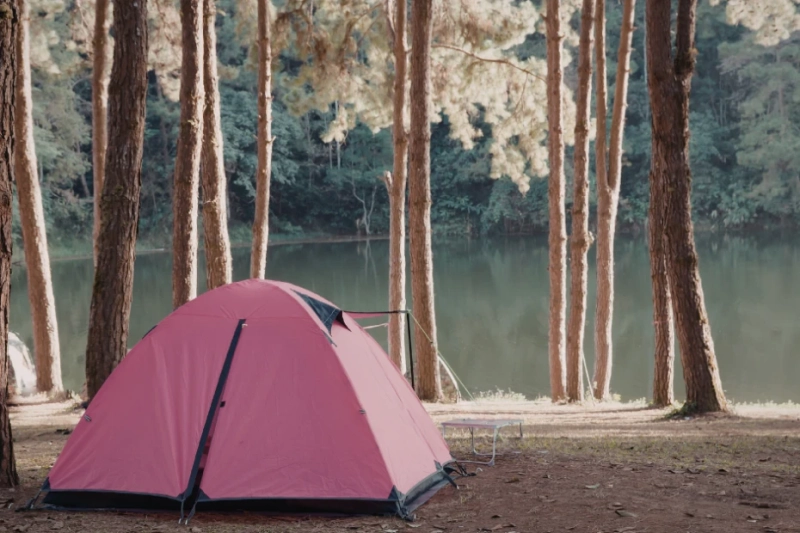 Why Camping on Your Roof Makes More Sense Than You Think