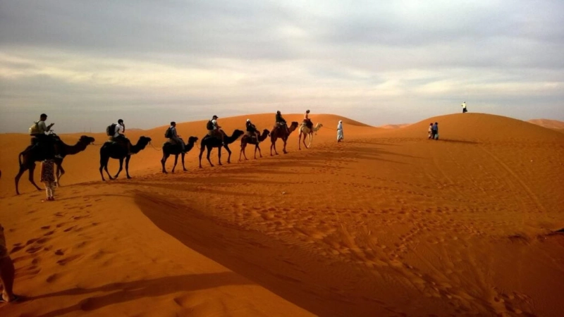 Desert safari Dubai Tour Attraction  