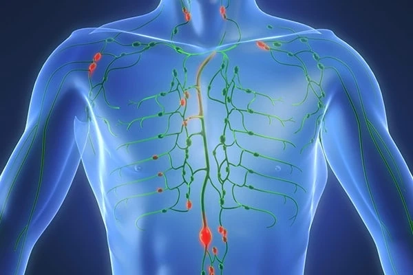 Why Is Everyone Talking About Follicular Lymphoma Treatment?