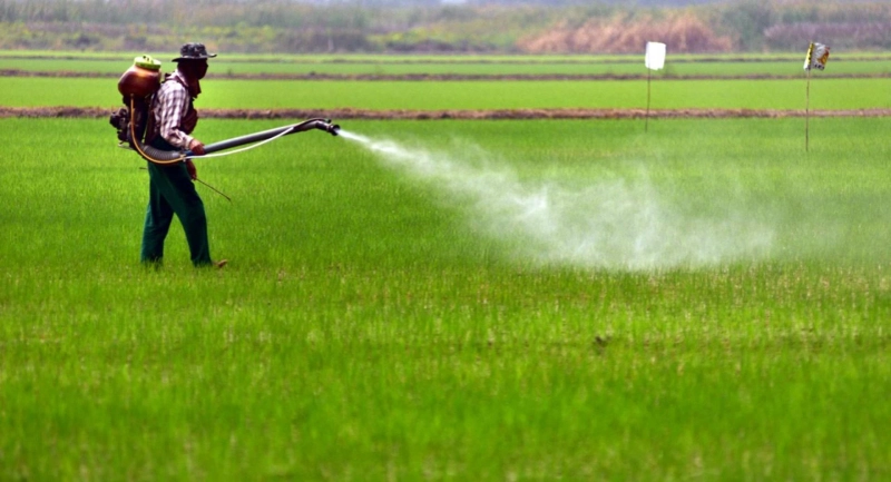 Herbicide Safeners Market Analysis By Key Players, Share, Size, Trends and Forecast by 2031
