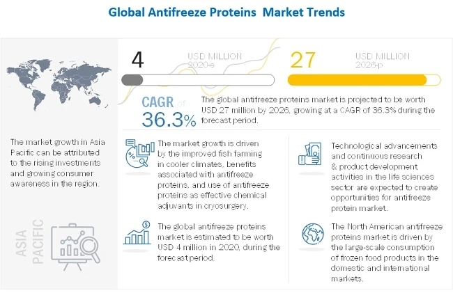 Medical Segment is Estimated to Account for the Largest Market Share of Antifreeze Proteins Market