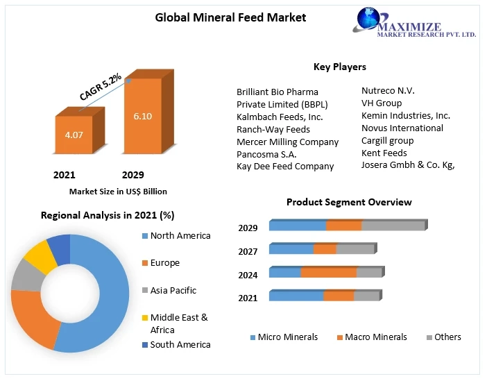 Mineral Feed Market Size is Expected to Reach 6.10 Bn by 2029