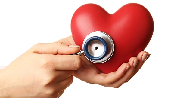 Cholesterol Blood Test and Checkup