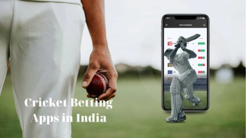 Online Betting on Cricket in India - Complete Guide for beginners 