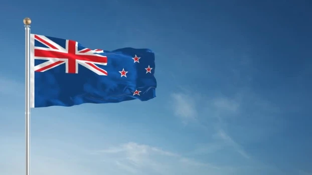 How Investors Use NZ ESG Reporting to Evaluate Companies